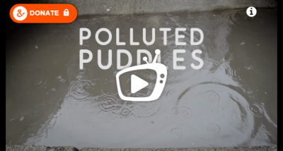 Polluted Puddles – Washington Environmental Council