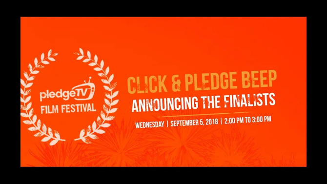 BeeP On Facebook Live: Announcing the pledgeTV Film Festival Finalists